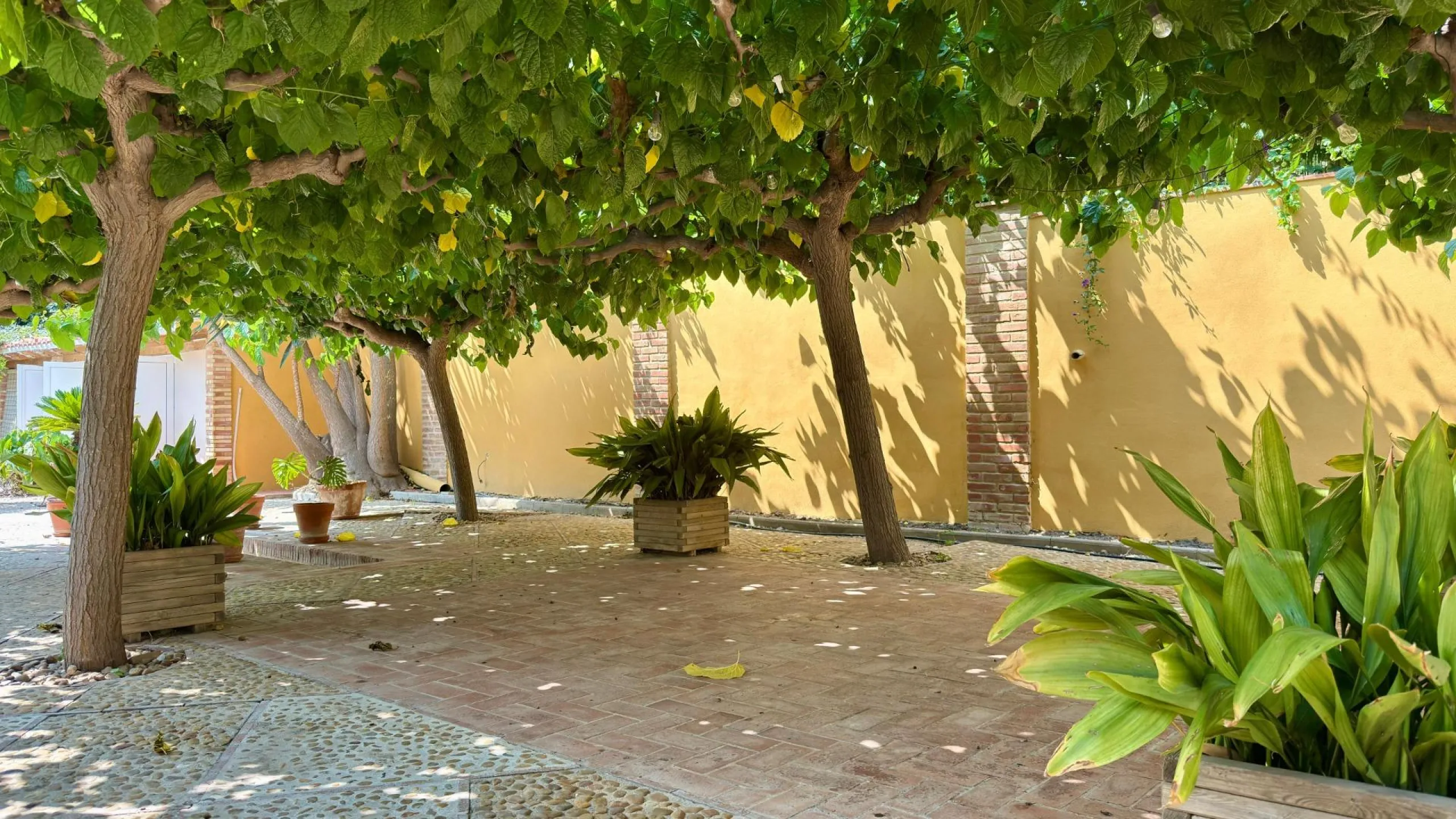 Exclusive Villa Surrounded by Nature in Alicante