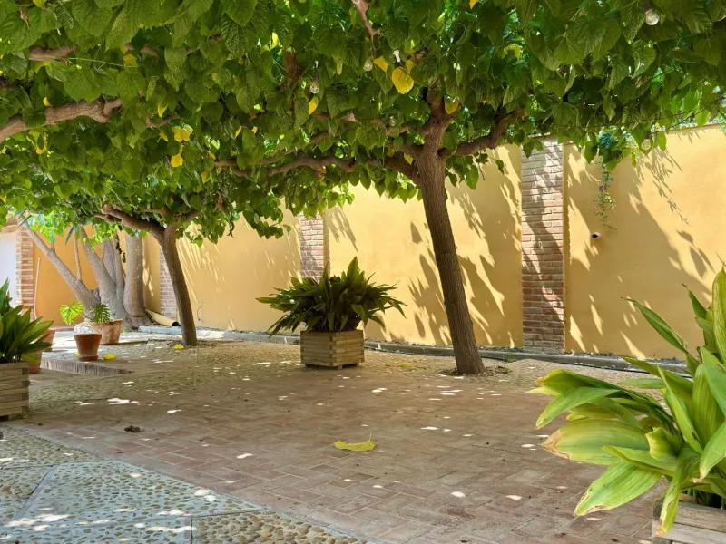 Exclusive Villa Surrounded by Nature in Alicante