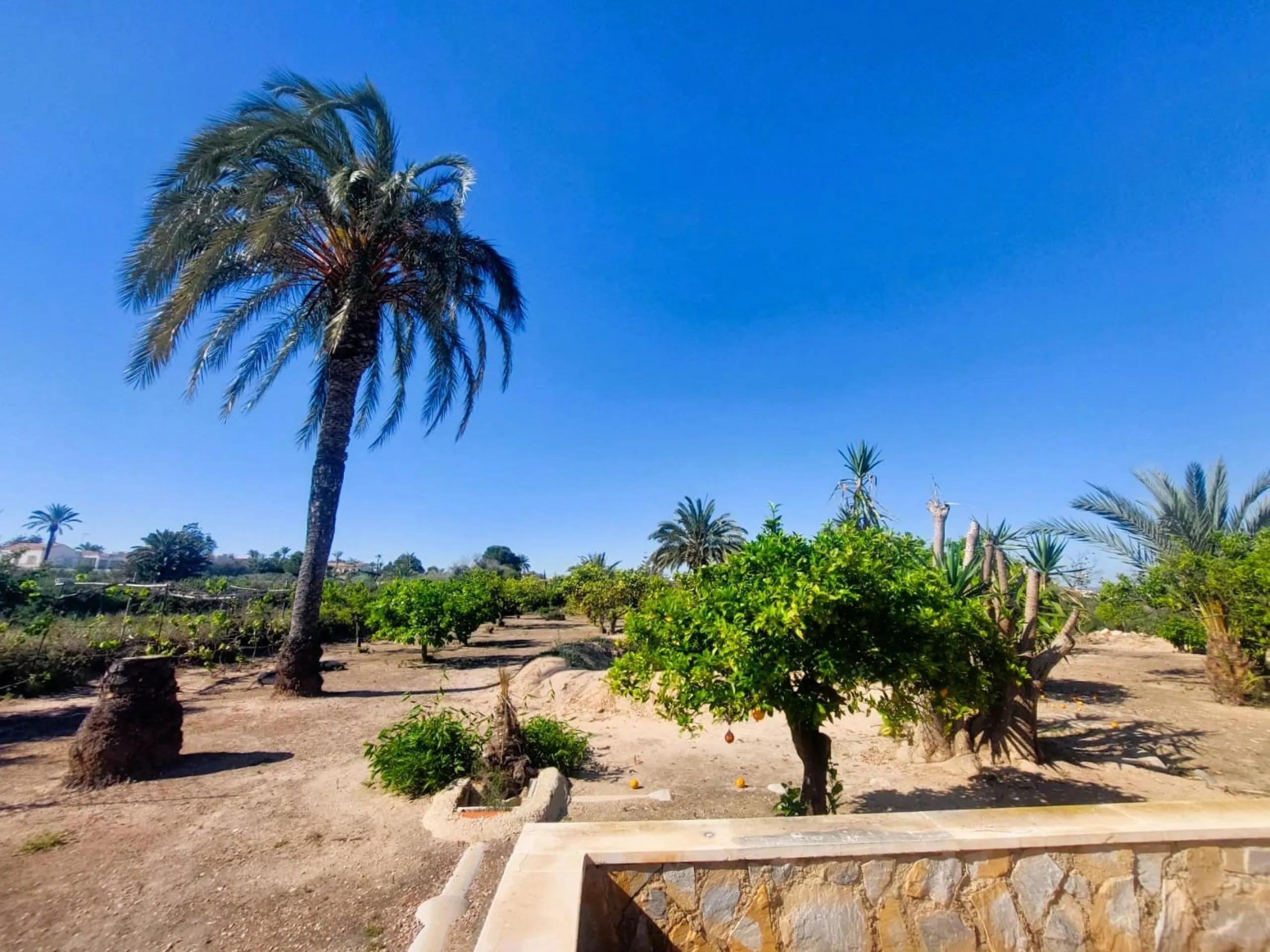 VILLA MEDITERRANEA A 400 METROS DE PLAYA. CON 3.000 M2 DE PARCELA Y 315 M2 DE CASA. 5 DORM. 2 BAÑOS.
