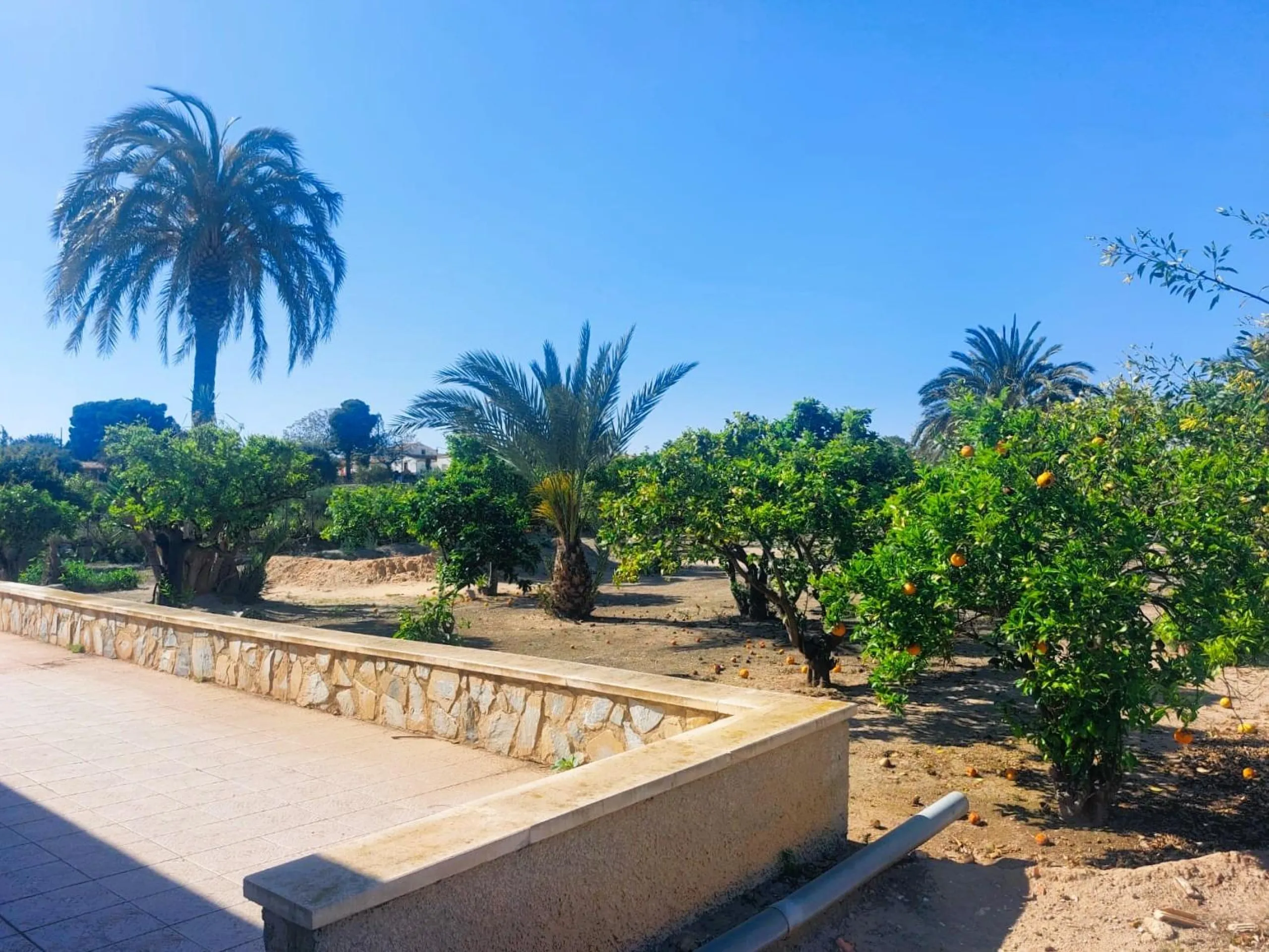 VILLA MEDITERRANEA A 400 METROS DE PLAYA. CON 3.000 M2 DE PARCELA Y 315 M2 DE CASA. 5 DORM. 2 BAÑOS.