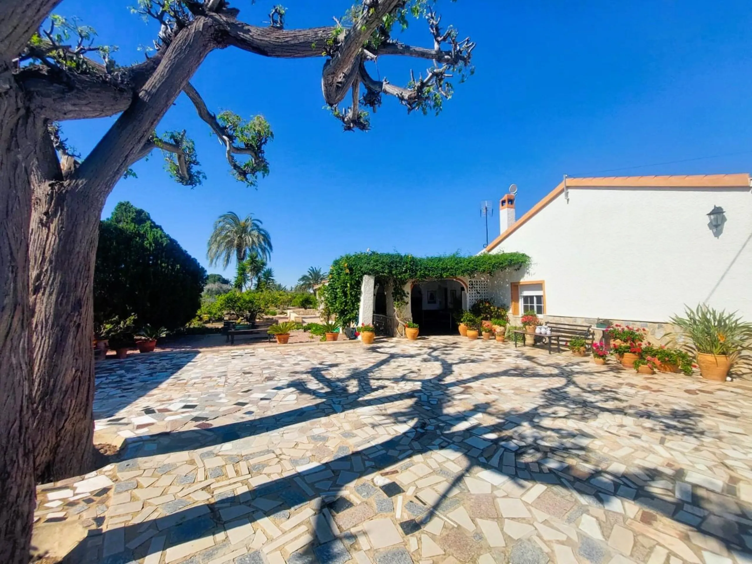 VILLA MEDITERRANEA A 400 METROS DE PLAYA. CON 3.000 M2 DE PARCELA Y 315 M2 DE CASA. 5 DORM. 2 BAÑOS.