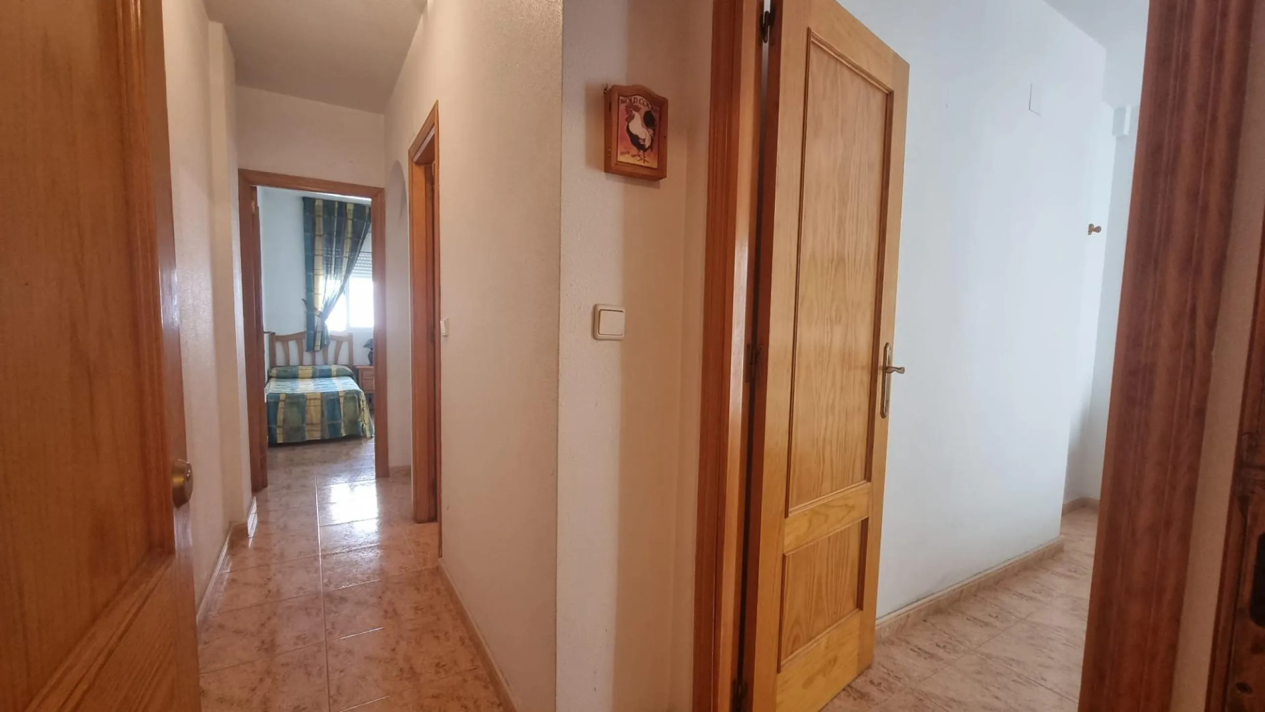 Apartamento semi-nuevo en la zona mas demandada de Torrevieja !