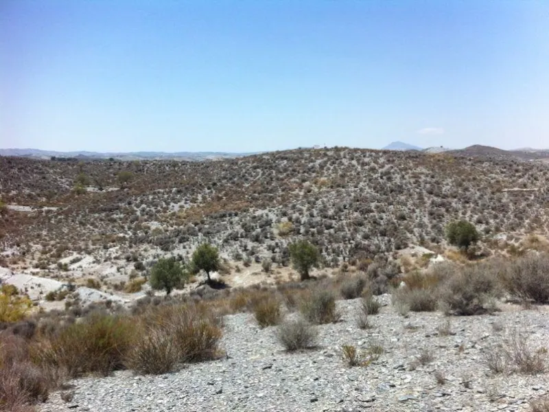 TERRENO EN LORCA CON SUPERFICIE DE 70.000 M2. SE PUEDE UTILIZAR PARA BARRIOS USOS PERMETIDOS.