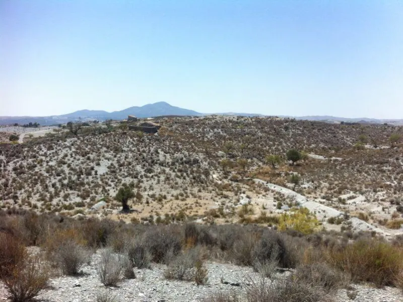 TERRENO EN LORCA CON SUPERFICIE DE 70.000 M2. SE PUEDE UTILIZAR PARA BARRIOS USOS PERMETIDOS.