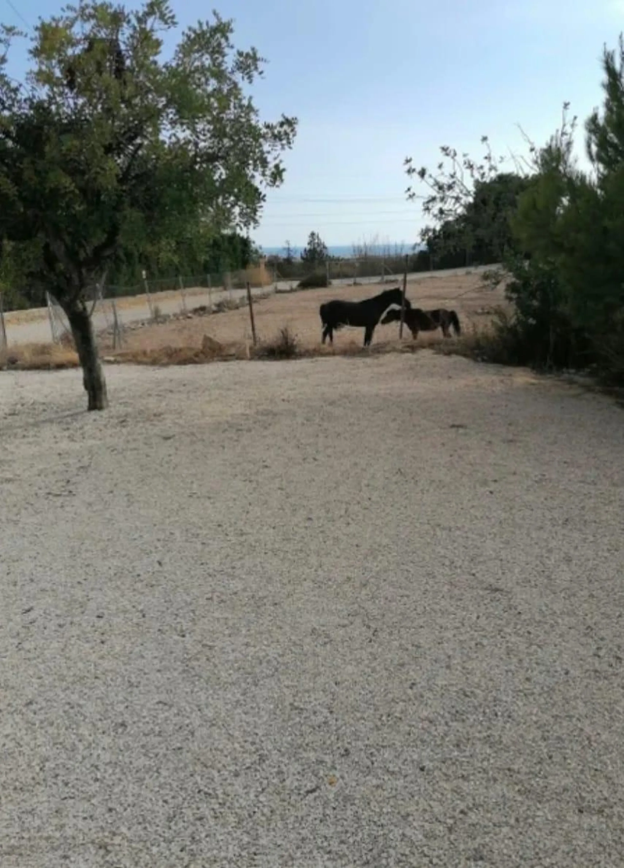 ✨ Retiro en la naturaleza en Villajoyosa
