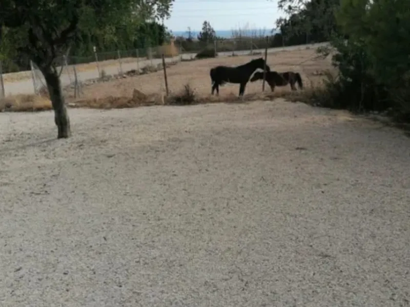 ✨ Retiro en la naturaleza en Villajoyosa