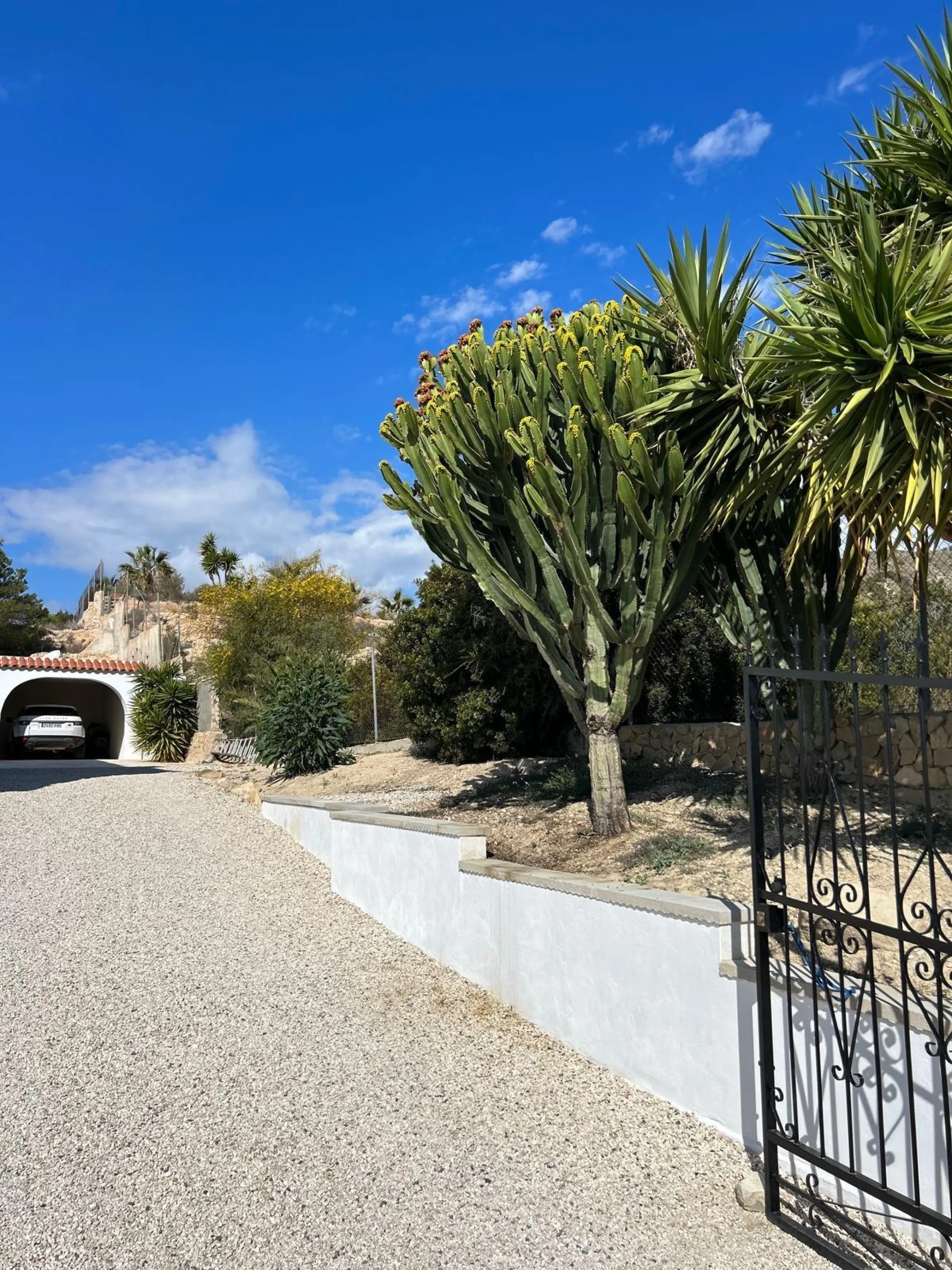 ✨ Retiro en la naturaleza en Villajoyosa