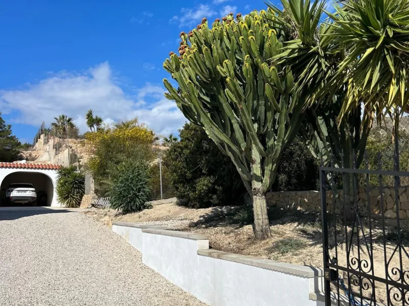 ✨ Retiro en la naturaleza en Villajoyosa