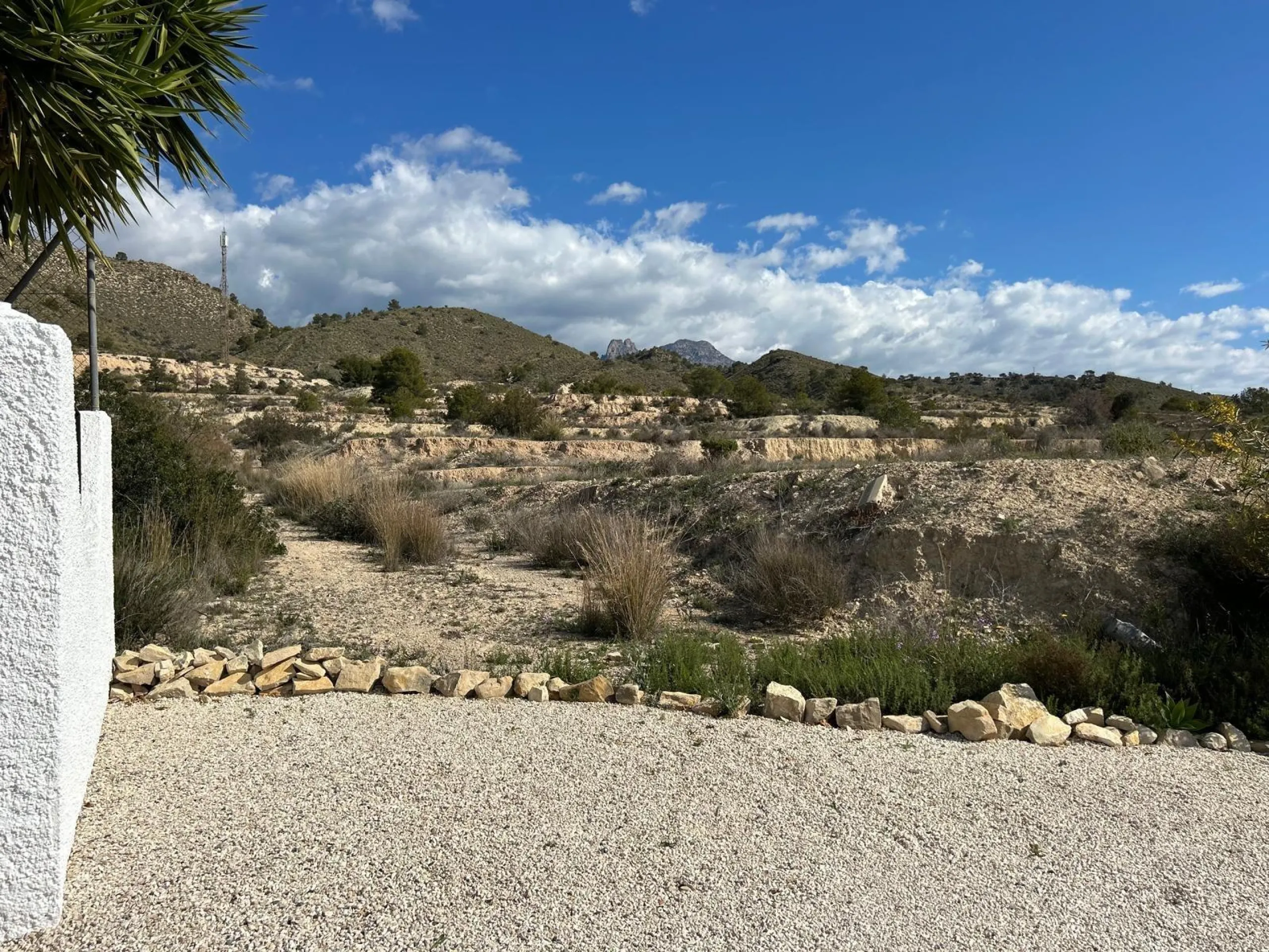 ✨ Retiro en la naturaleza en Villajoyosa