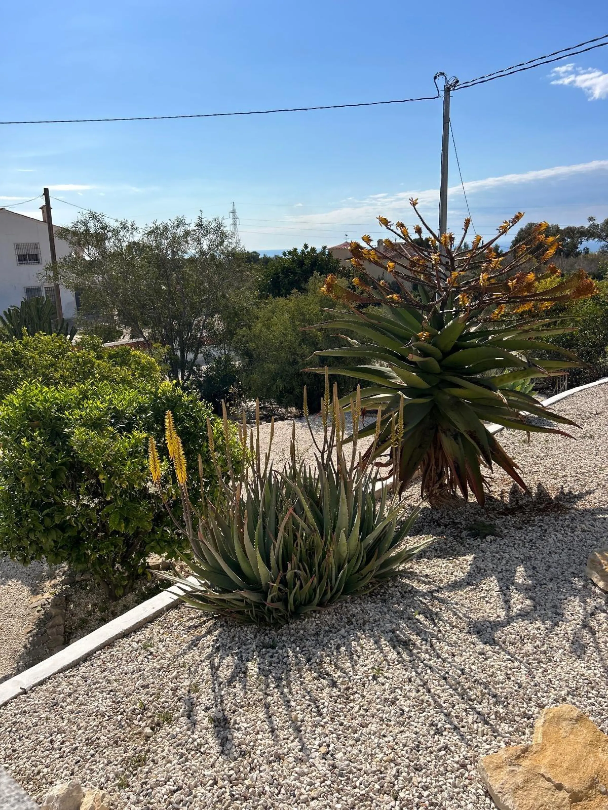 ✨ Retiro en la naturaleza en Villajoyosa