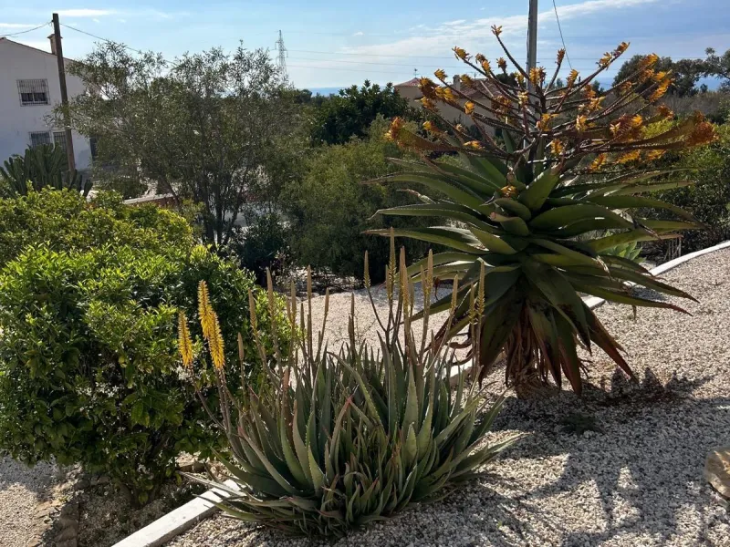 ✨ Retiro en la naturaleza en Villajoyosa