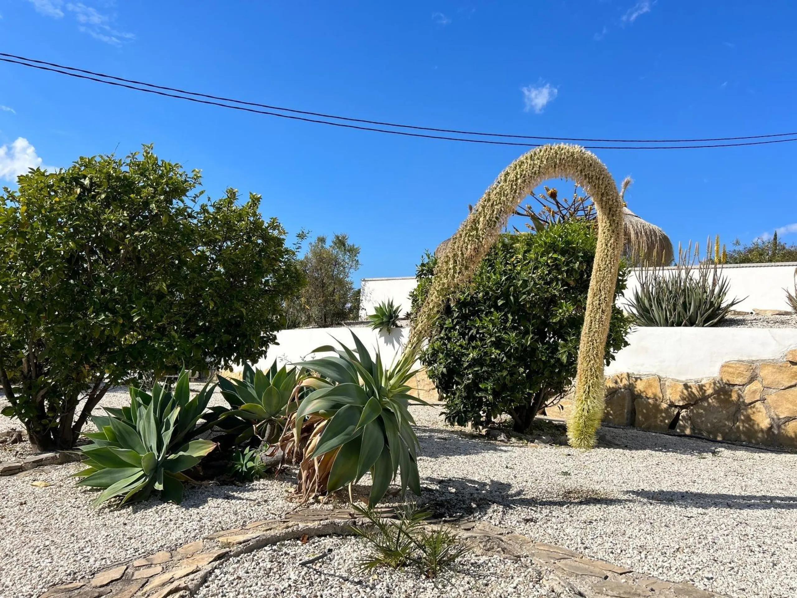✨ Retiro en la naturaleza en Villajoyosa