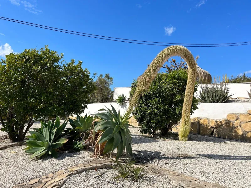 ✨ Retiro en la naturaleza en Villajoyosa