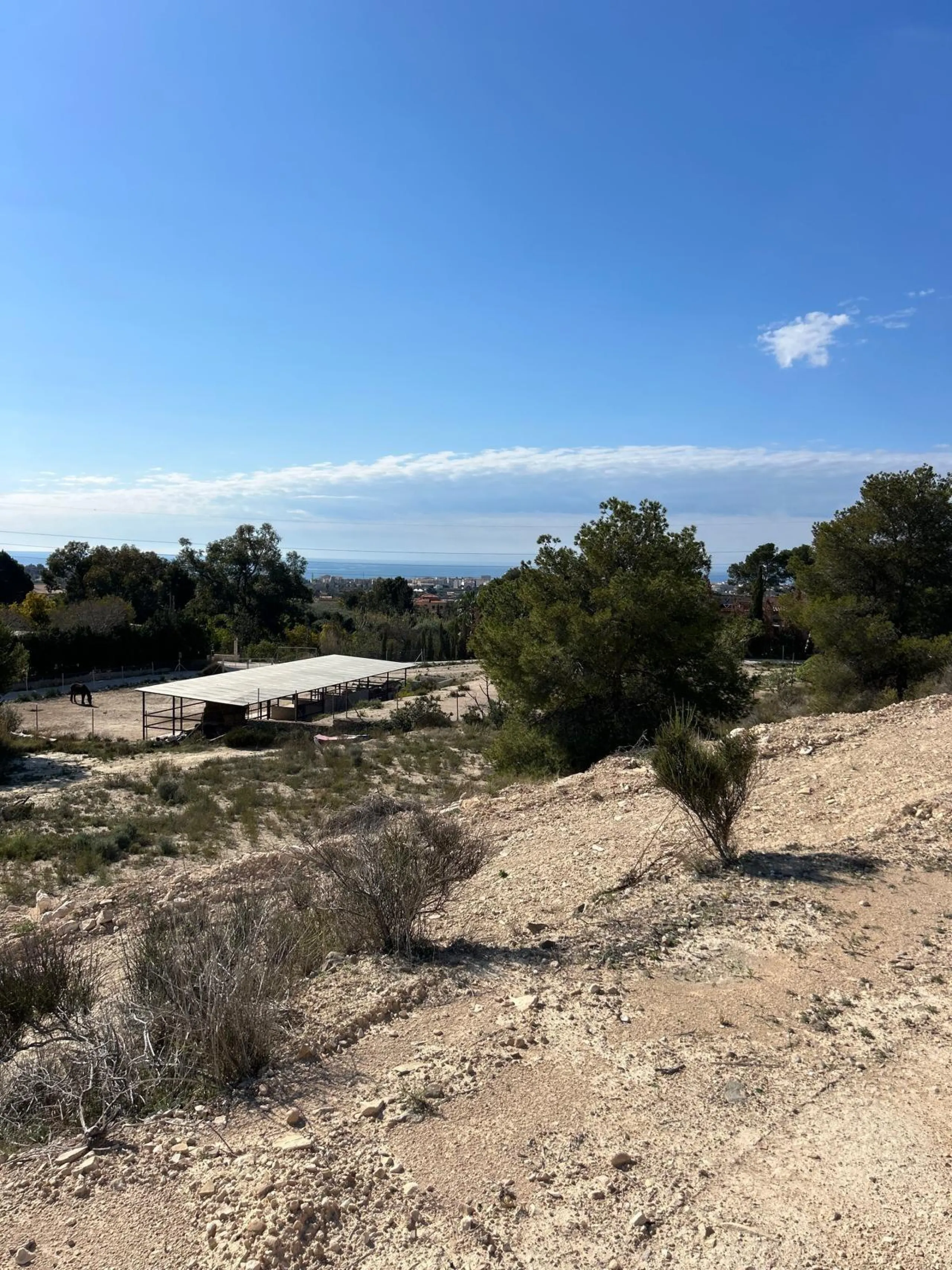 ✨ Retiro en la naturaleza en Villajoyosa
