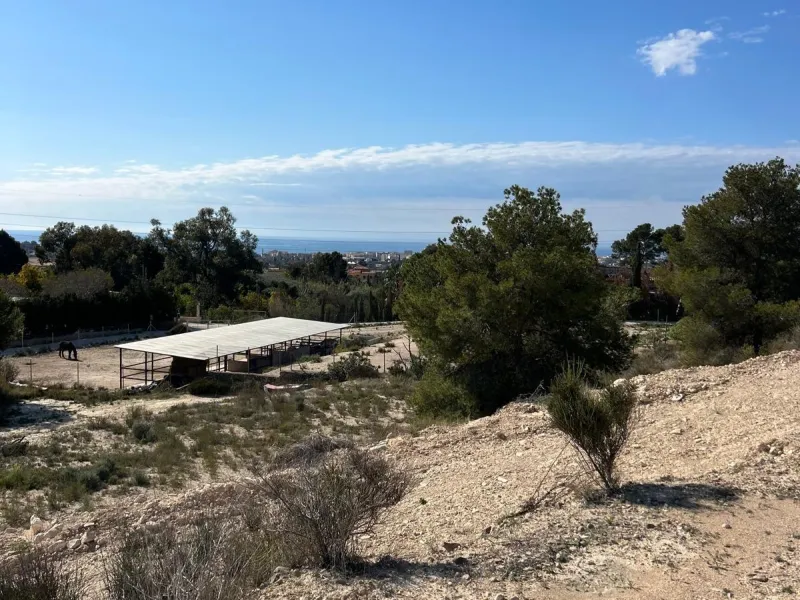 ✨ Retiro en la naturaleza en Villajoyosa