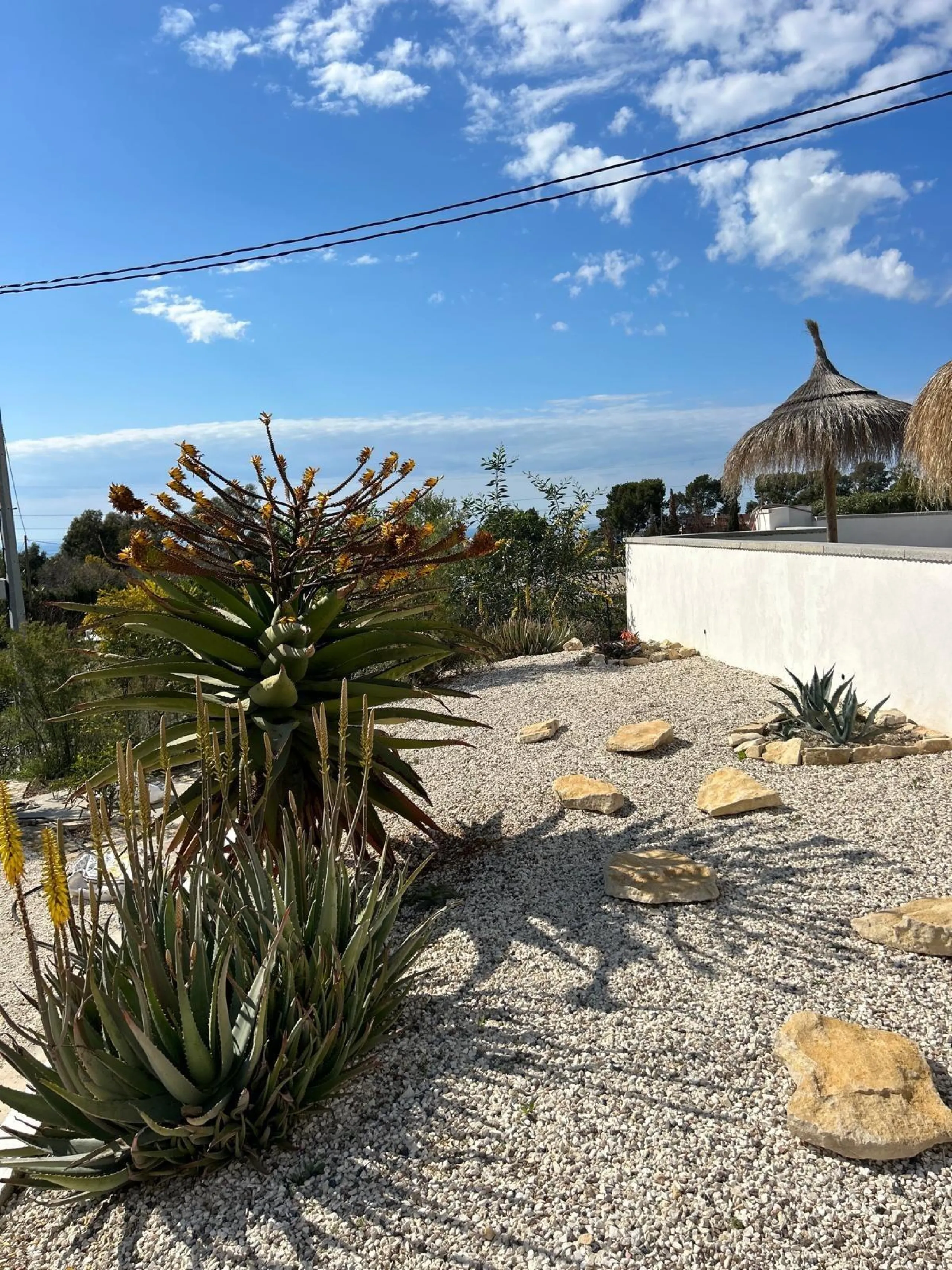 ✨ Retiro en la naturaleza en Villajoyosa