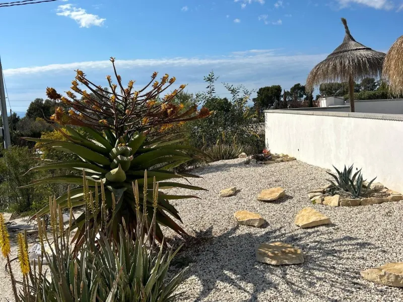 ✨ Retiro en la naturaleza en Villajoyosa