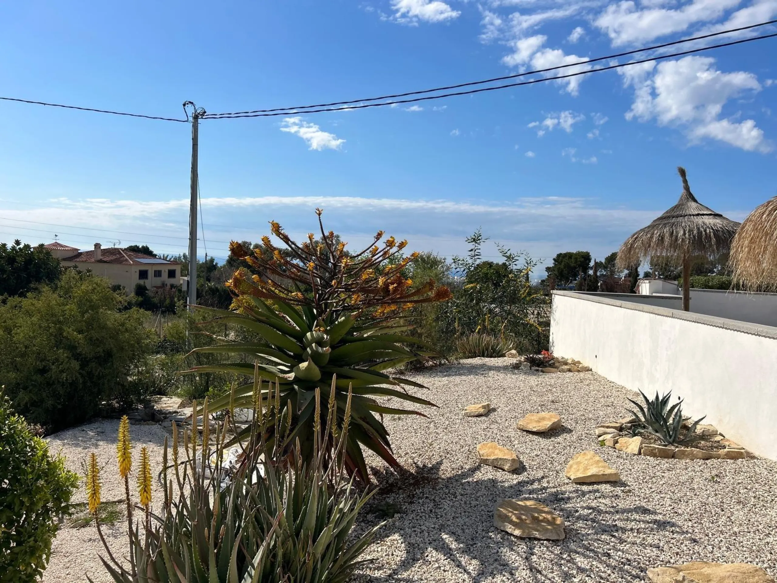 ✨ Retiro en la naturaleza en Villajoyosa
