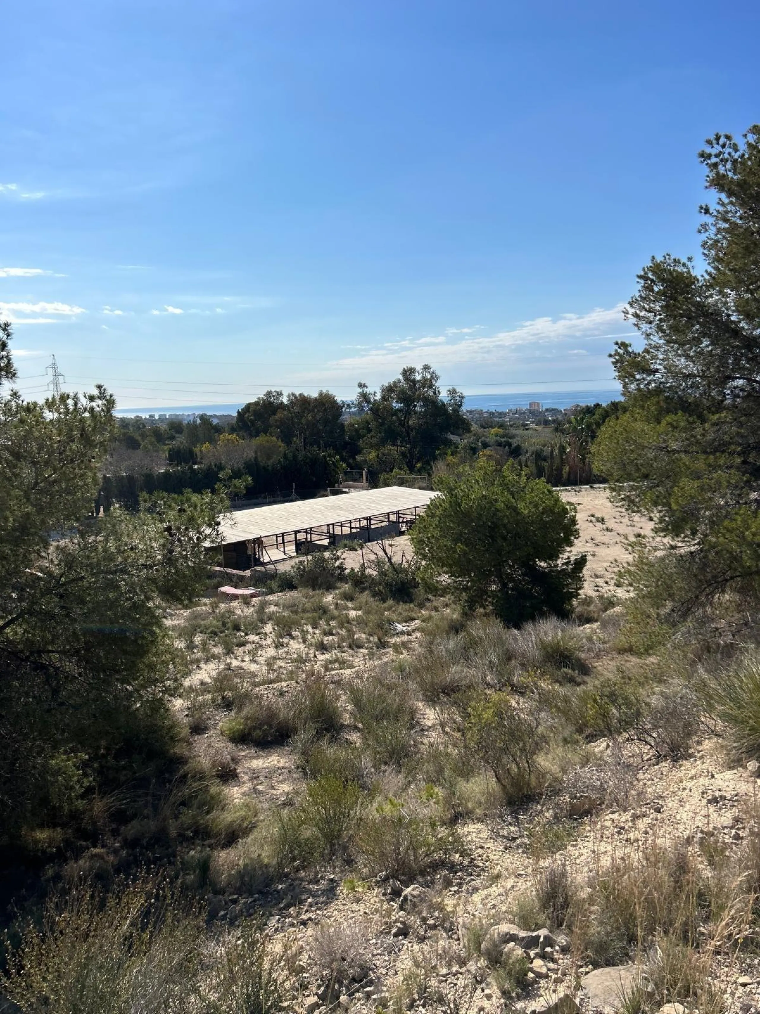 ✨ Retiro en la naturaleza en Villajoyosa