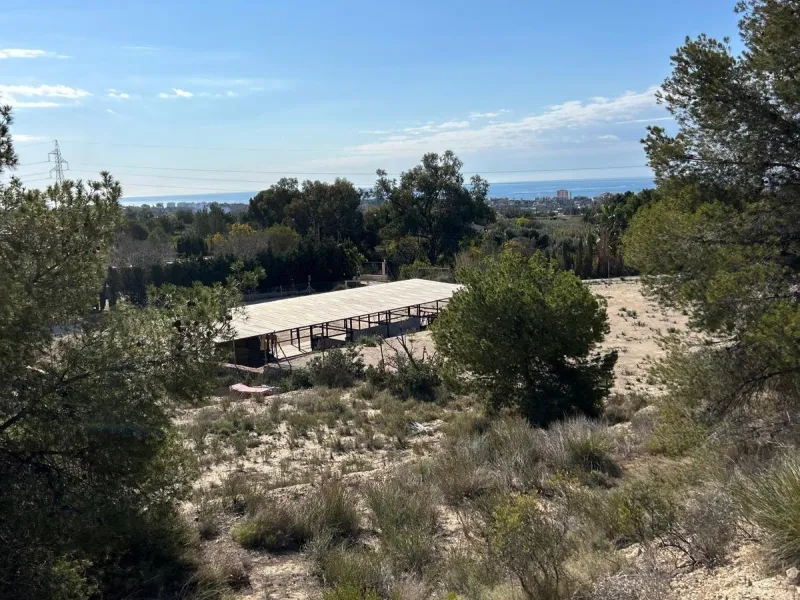✨ Retiro en la naturaleza en Villajoyosa