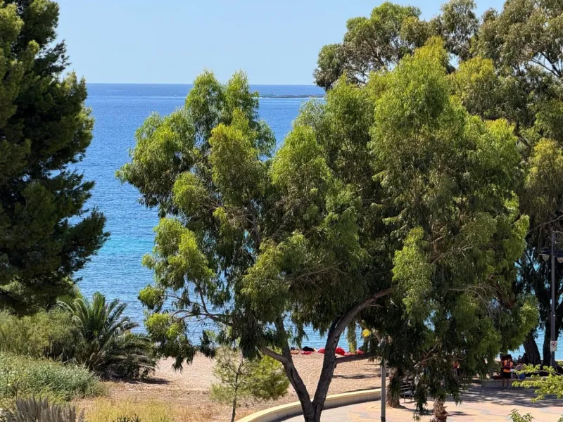 Inversión en exclusividad: ¡oferta limitada junto al mar!