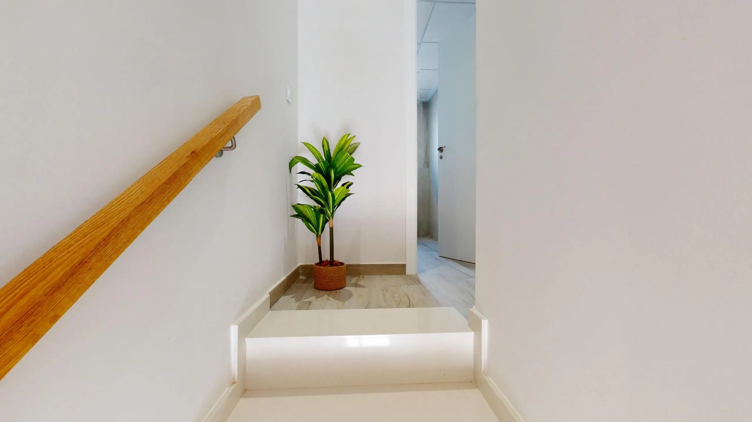 ADOSADOS DE OBRA NUEVA EN PILAR DE LA HORADADA. 3 DORM. 2 BAÑOS. CON PLAZA DE GARAJE Y PISCINA. 83 M2. JARDIN 33 M2. SOLARIUM 34 M2.