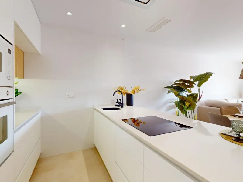 APARTAMENTOS DE OBRA NUEVA EN PILAR DE LA HORADADA CON GARAJE INCLUIDO. 100 M2.TERRAZAS DE 25 M2. 3 DORM. 2 BAÑOS. PISCINA.