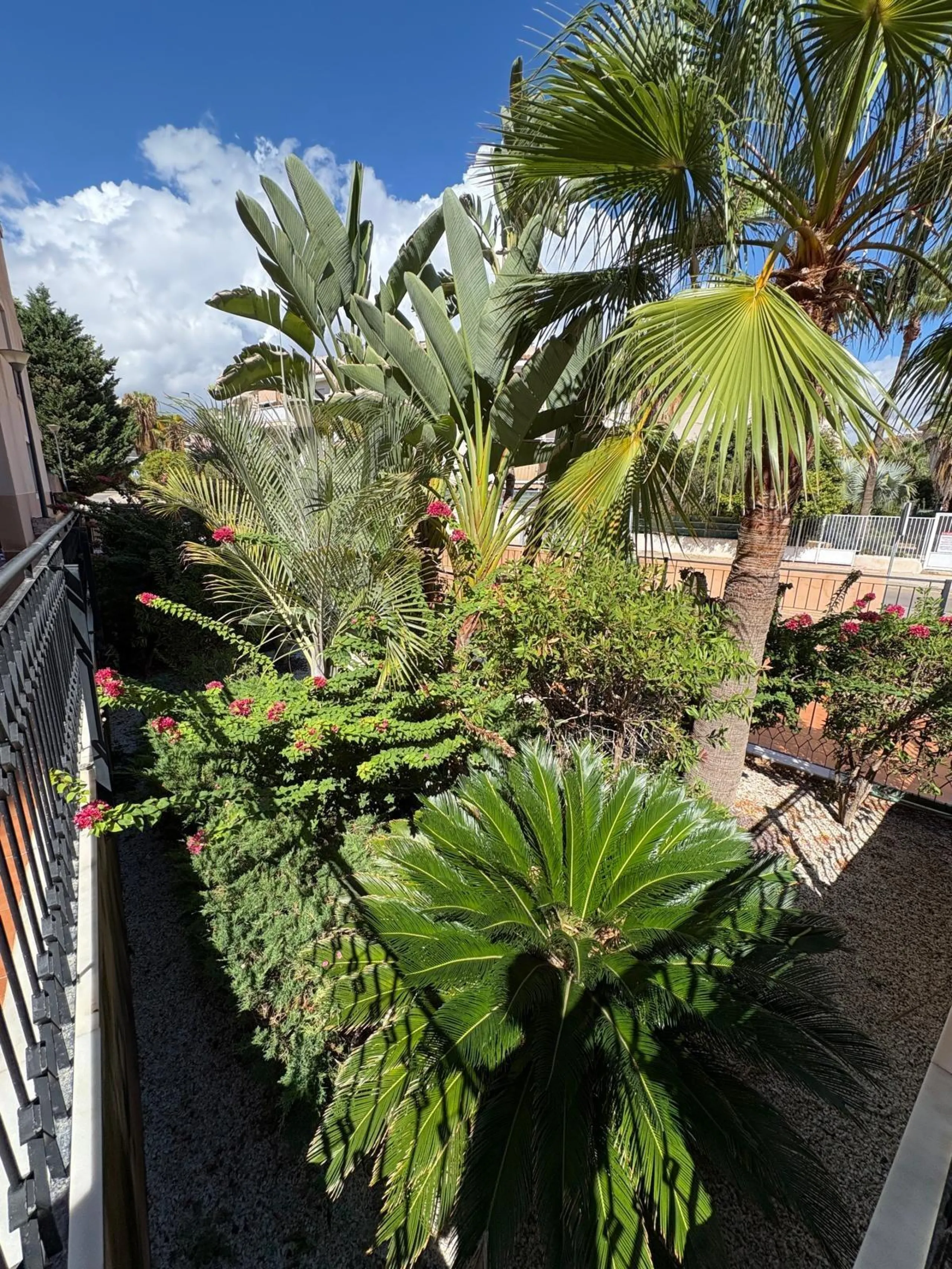 Your new home awaits you in Collados, Águilas! 🏡✨ 2 beds 1 bath garage and pool between sea and mountain special diving area
