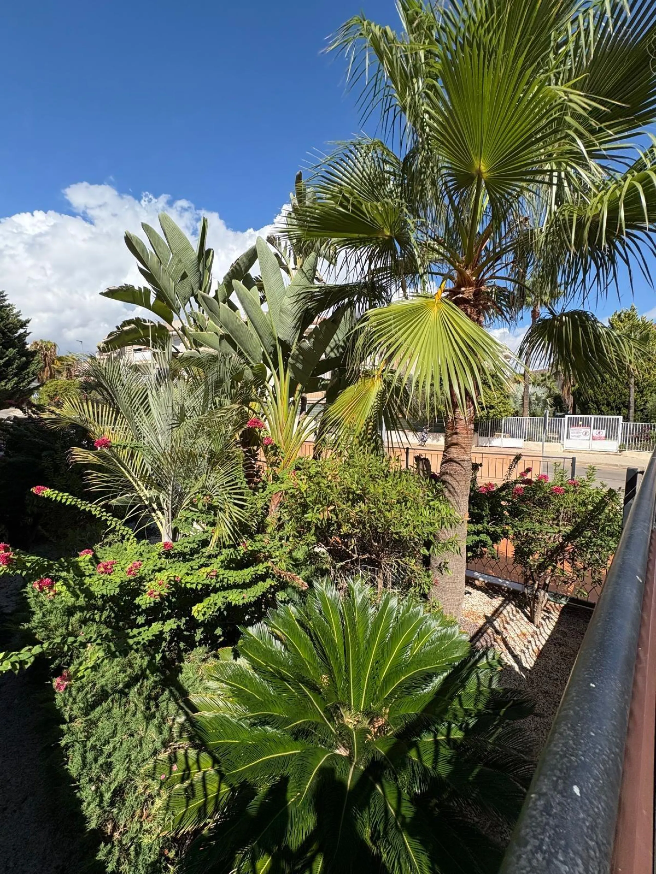 Your new home awaits you in Collados, Águilas! 🏡✨ 2 beds 1 bath garage and pool between sea and mountain special diving area