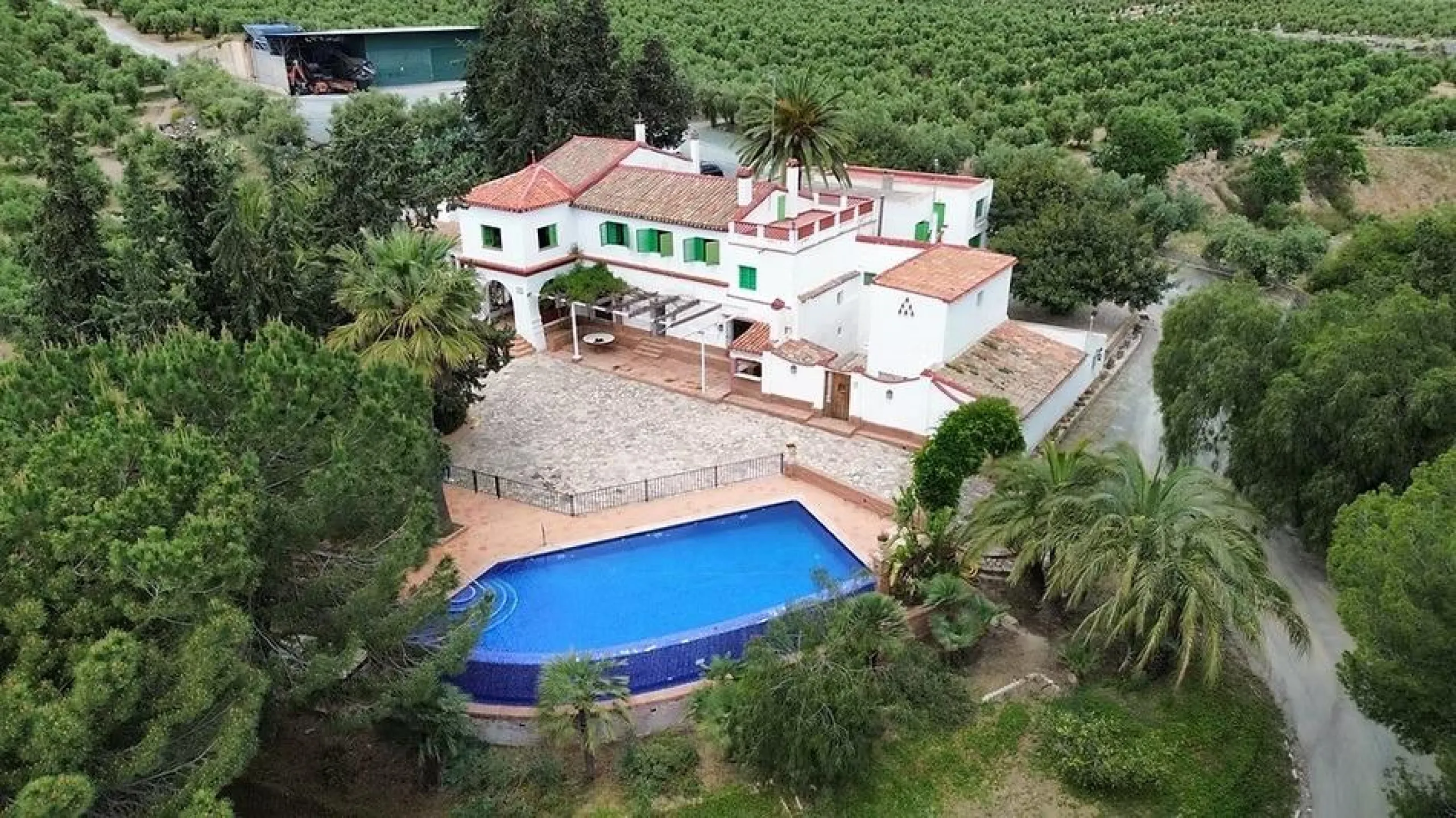 FINCA OLIVAR ECOLÓGICA EN VENTA EN MURCIA CON 1650000 M2