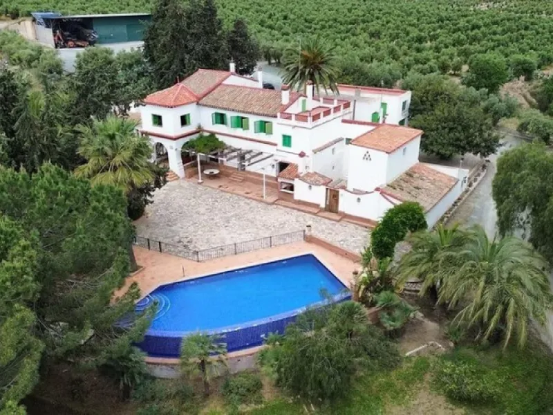 FINCA OLIVAR ECOLÓGICA EN VENTA EN MURCIA CON 1650000 M2
