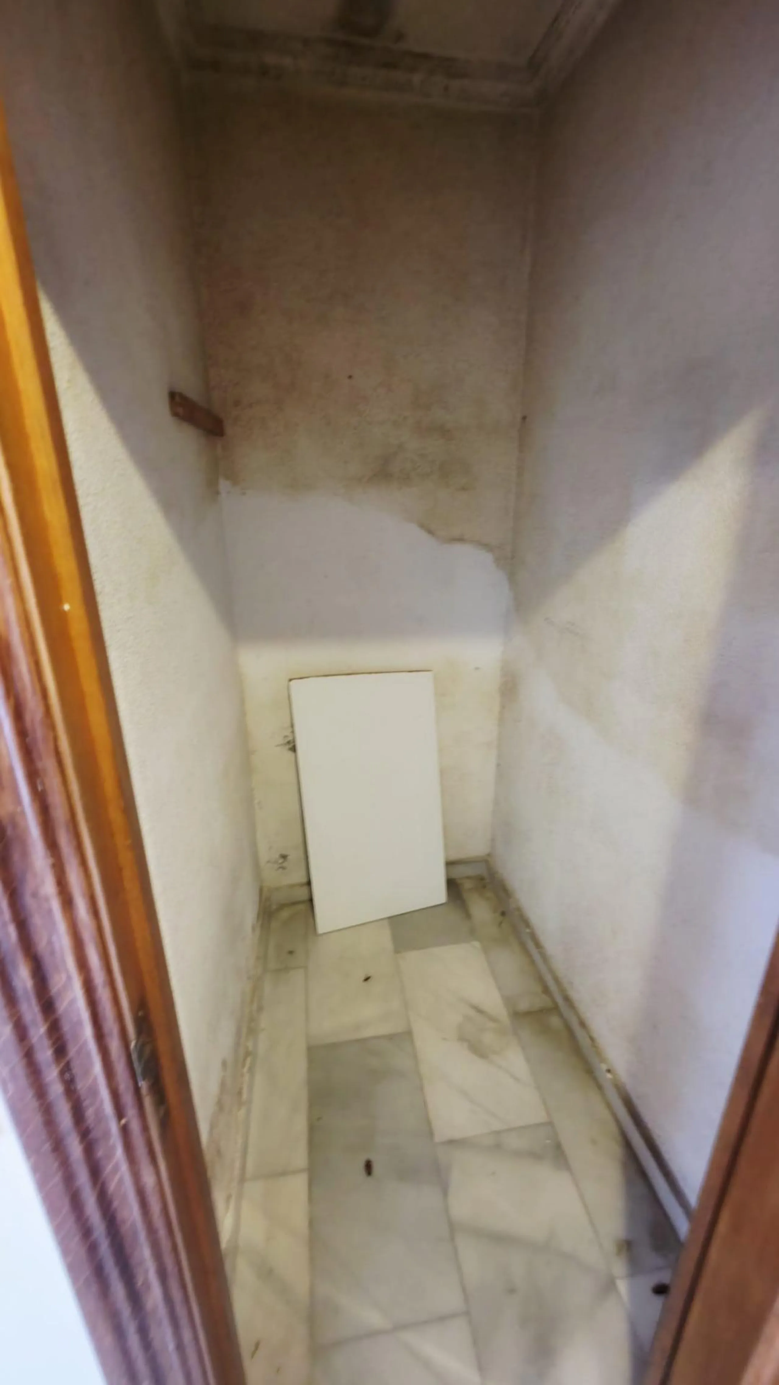 Magnífico chalet con amplias posibilidades en La Albufereta – Playa de San Juan (Alicante)