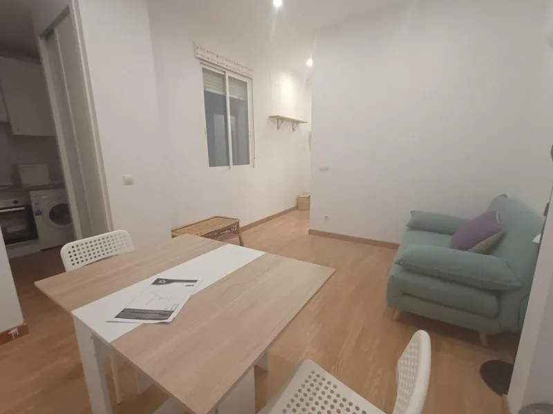ESTUDIO REFORMADO Y AMUEBLADO EN LAVAPIÉS | MADRID CENTRO