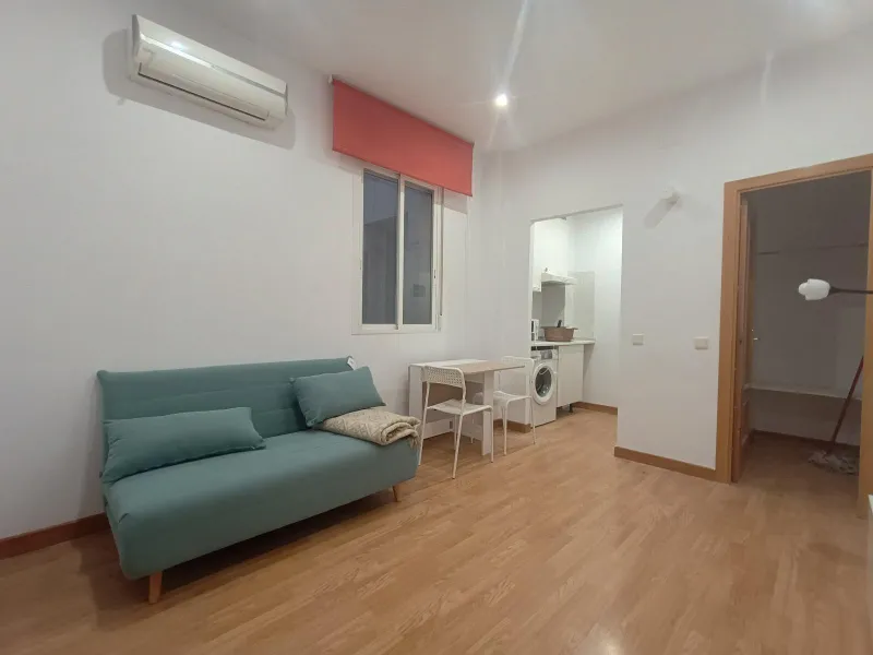 ESTUDIO REFORMADO Y AMUEBLADO EN LAVAPIÉS | MADRID CENTRO