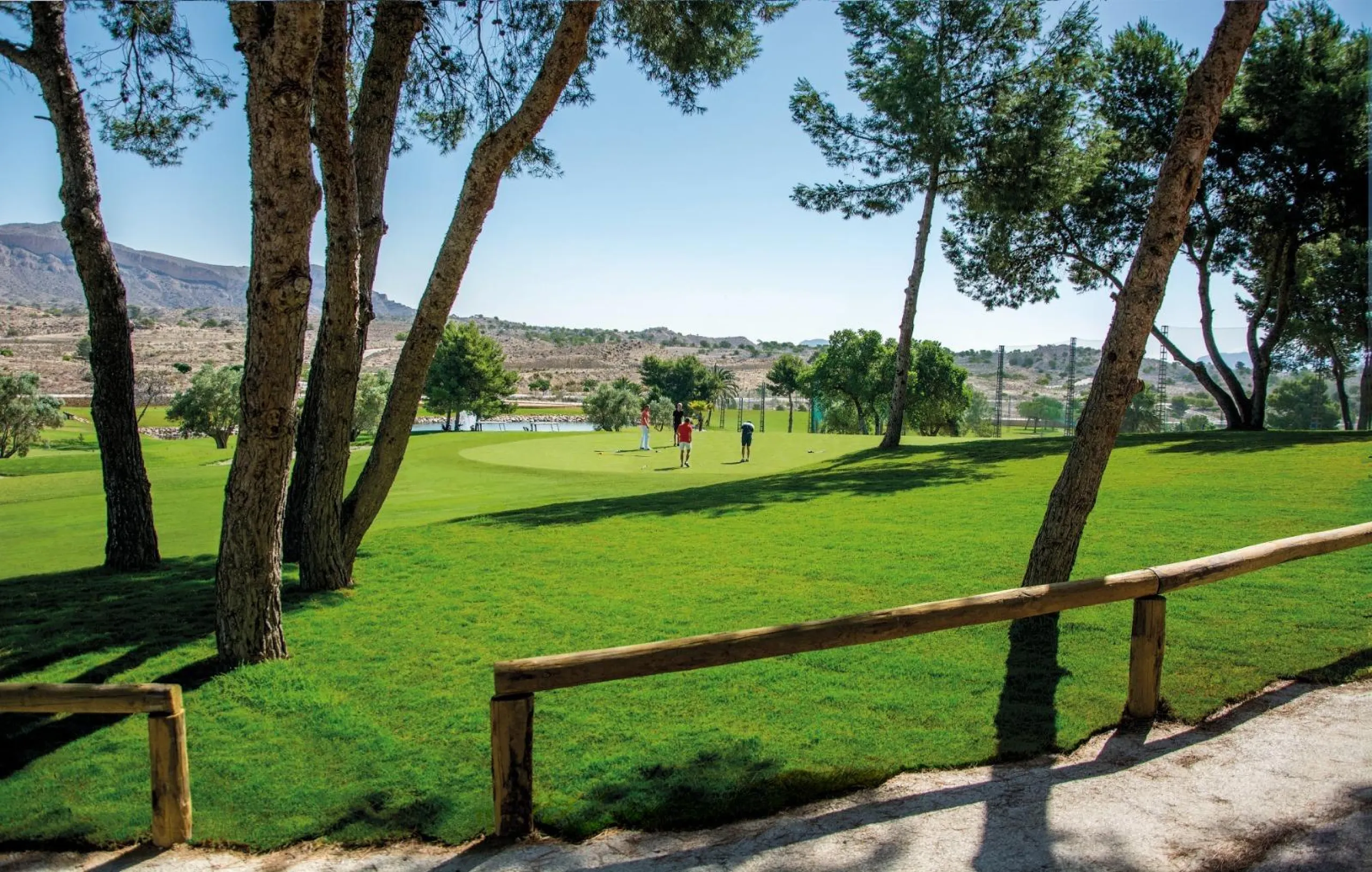 Новые дома в Alenda Golf