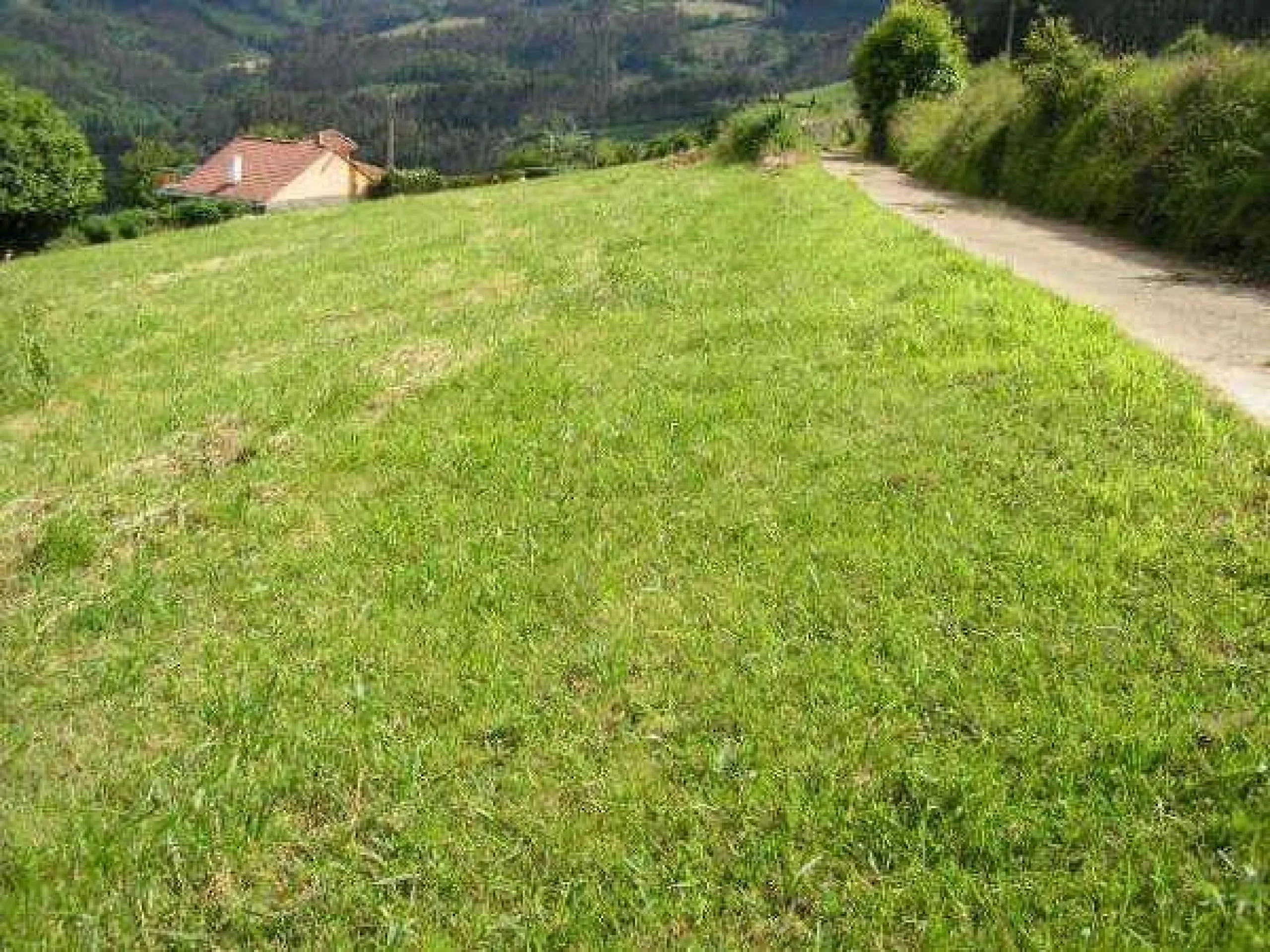 Proyecto de vida en Asturias: tres fincas edificables con vistas al mar