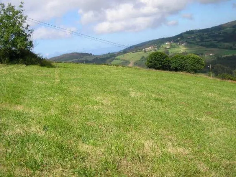 Proyecto de vida en Asturias: tres fincas edificables con vistas al mar