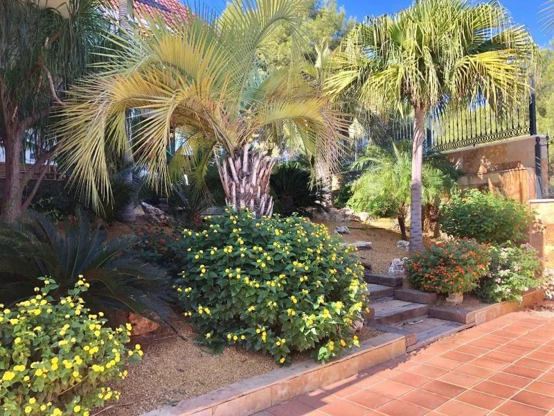 An exceptional residence in the heart of El Palmar, where luxury, comfort, and nature come together in perfect harmony.