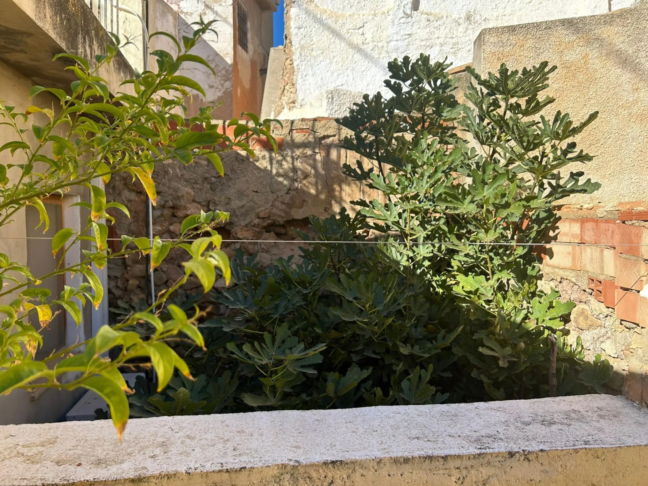 ✨ Unique Opportunity in Polop, Alicante!