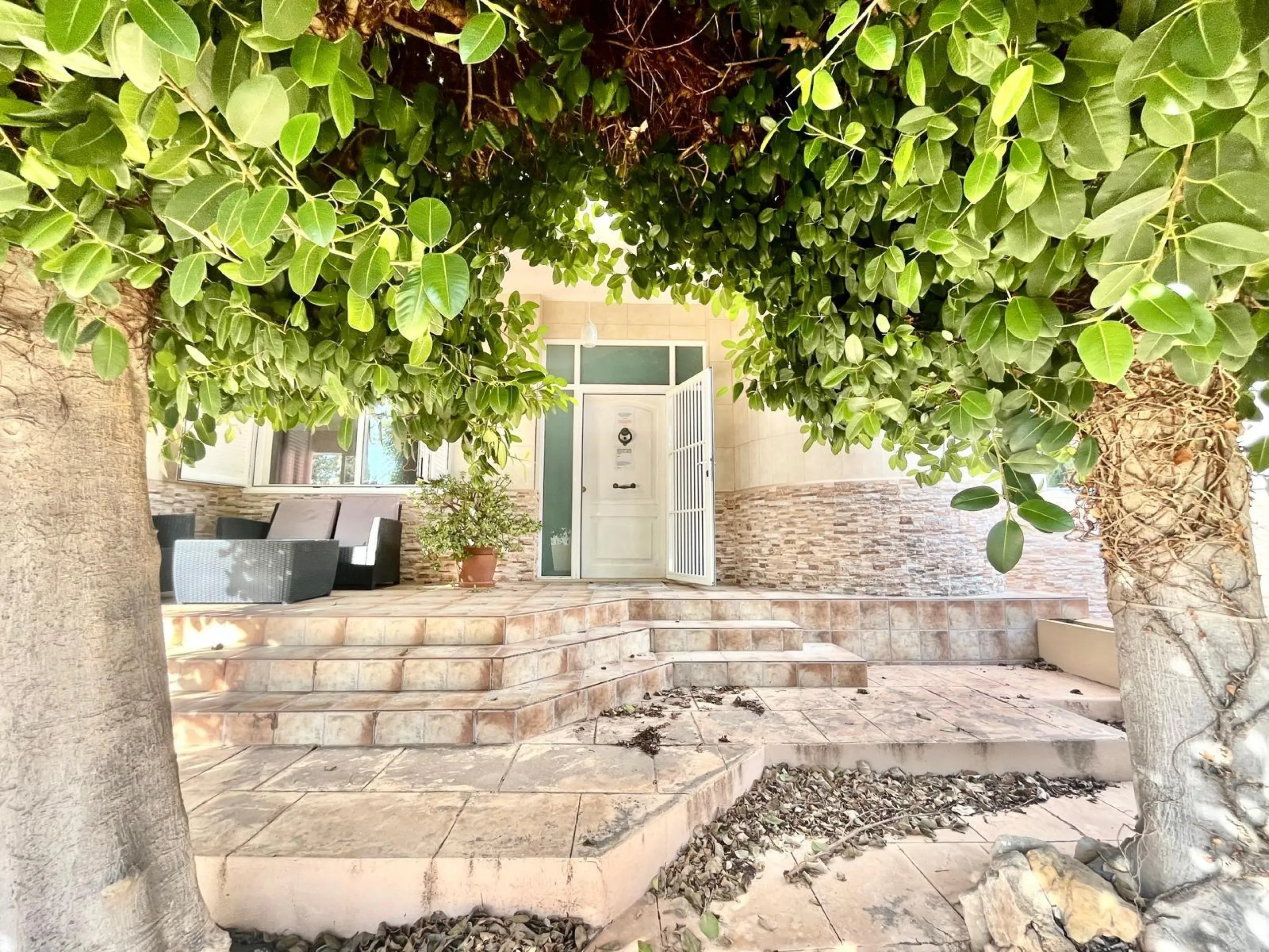 VILLA DE LUJO CON 780 M2 DE PARCELA Y A 100 METROS DE PLAYA LA MATA. 4 DORM. 4 BAÑOS. 291 M2 DE CASA.