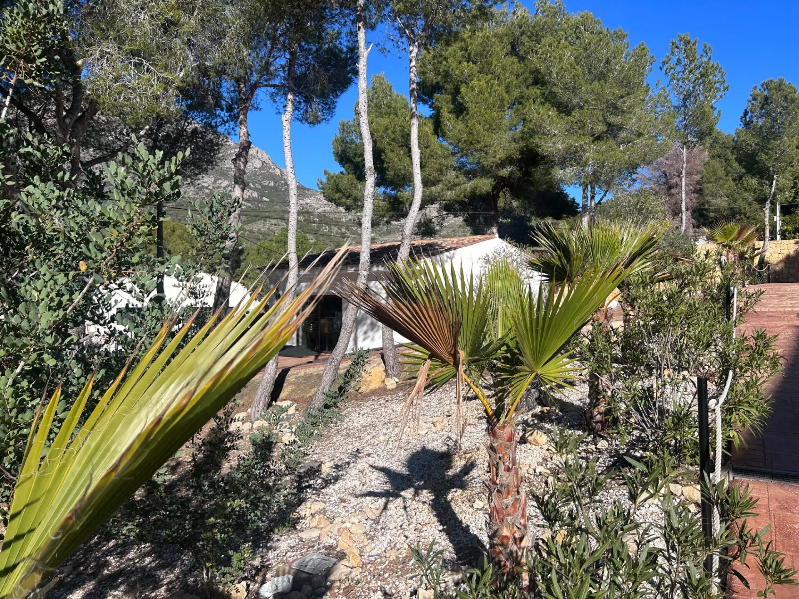 Boutique Hotel in Natural Surroundings · Finestrat 🌿⛰️