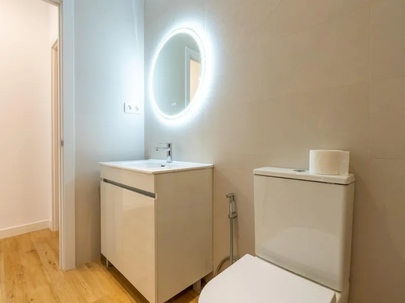 FULLY RENOVATED BRAND-NEW EXTERIOR APARTMENT IN LAVAPIÉS–EMBAJADORES, MADRID