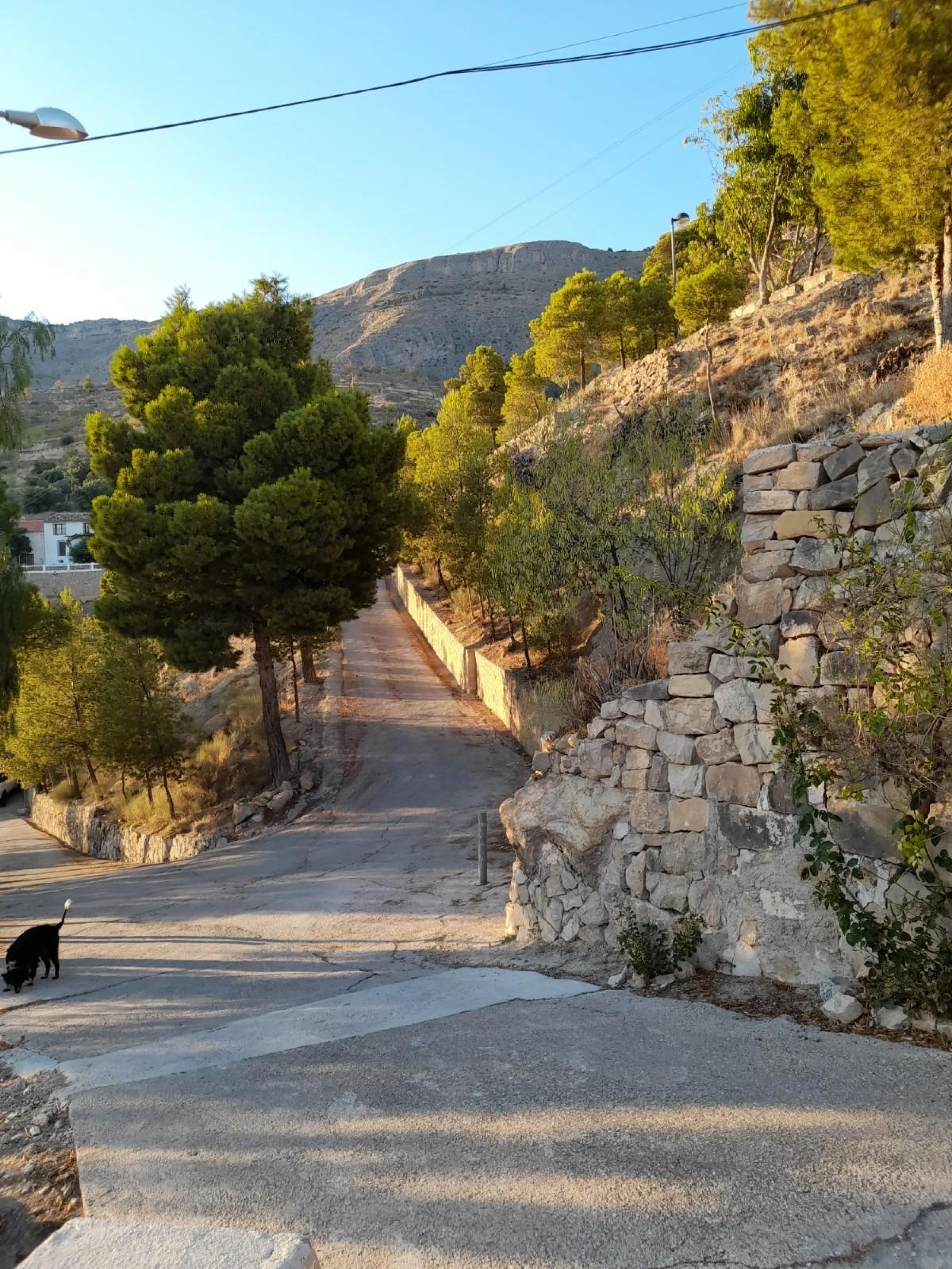 🌿 Casa de pueblo con encanto en Sella 🌿