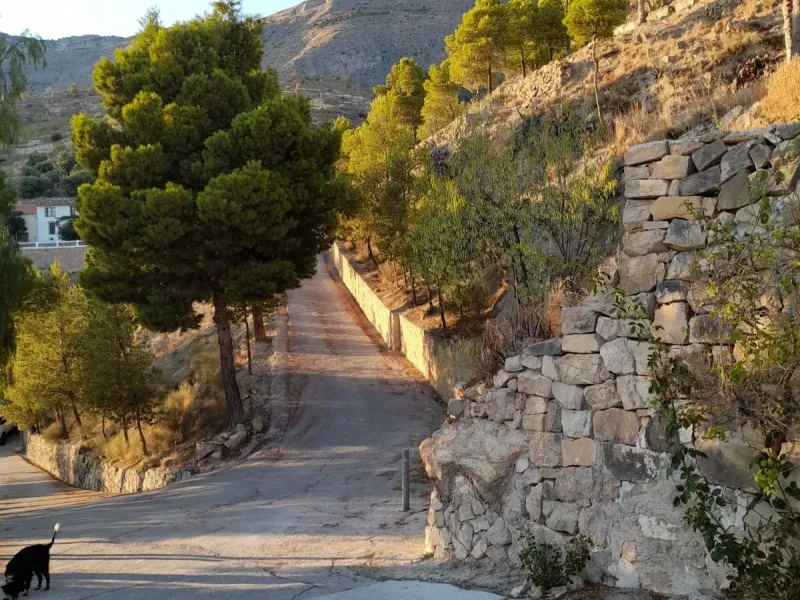 🌿 Casa de pueblo con encanto en Sella 🌿