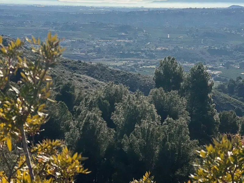 🏡 Parcela para la Construcción de una Vivienda Unifamiliar