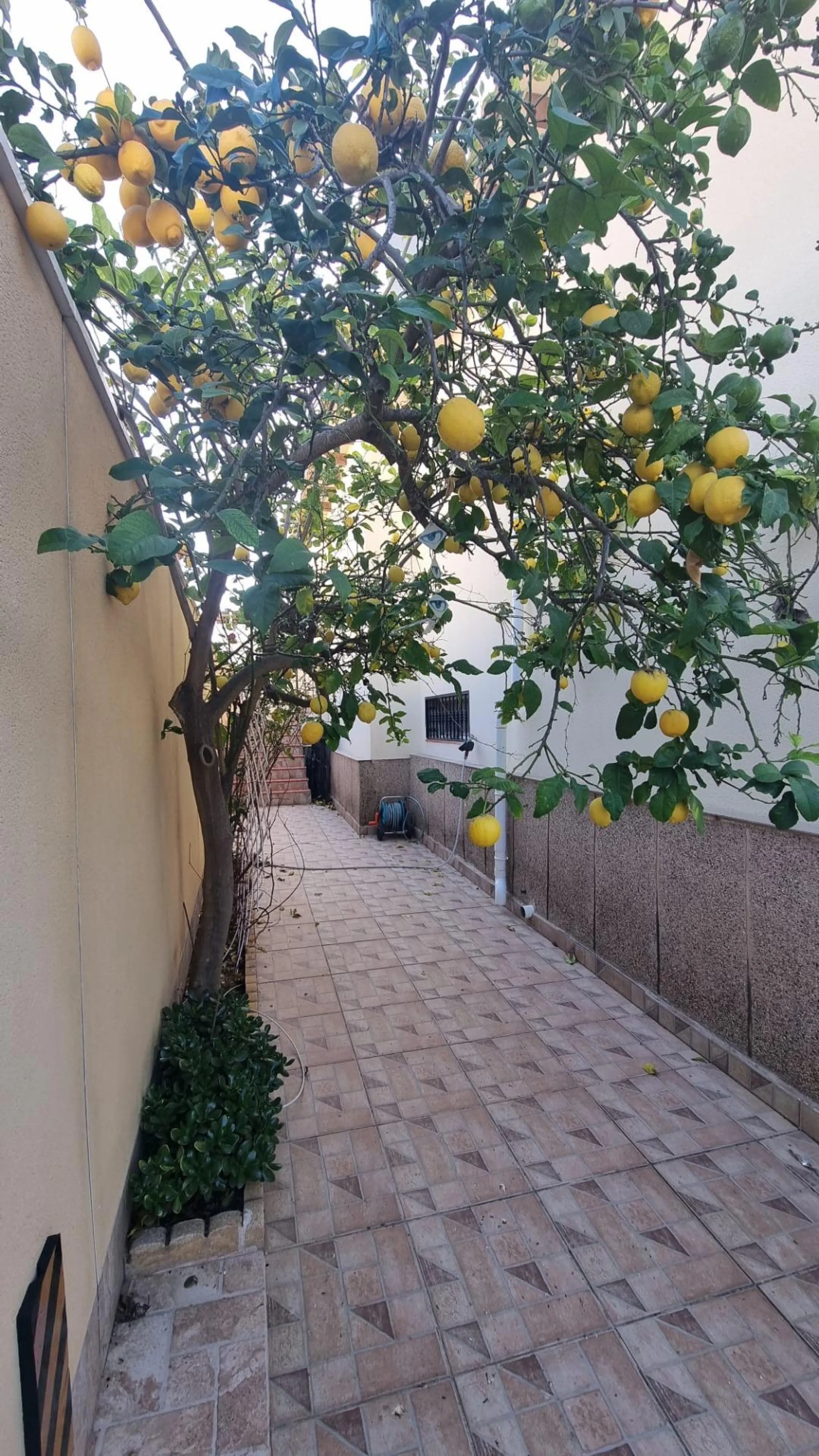 Fully renovated villa with private pool and solar panels!