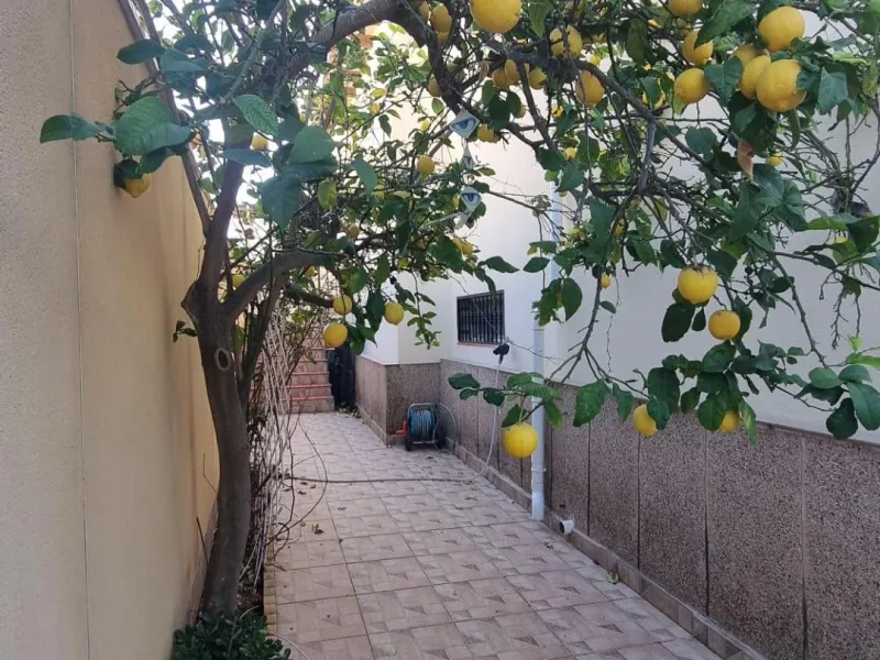 Fully renovated villa with private pool and solar panels!