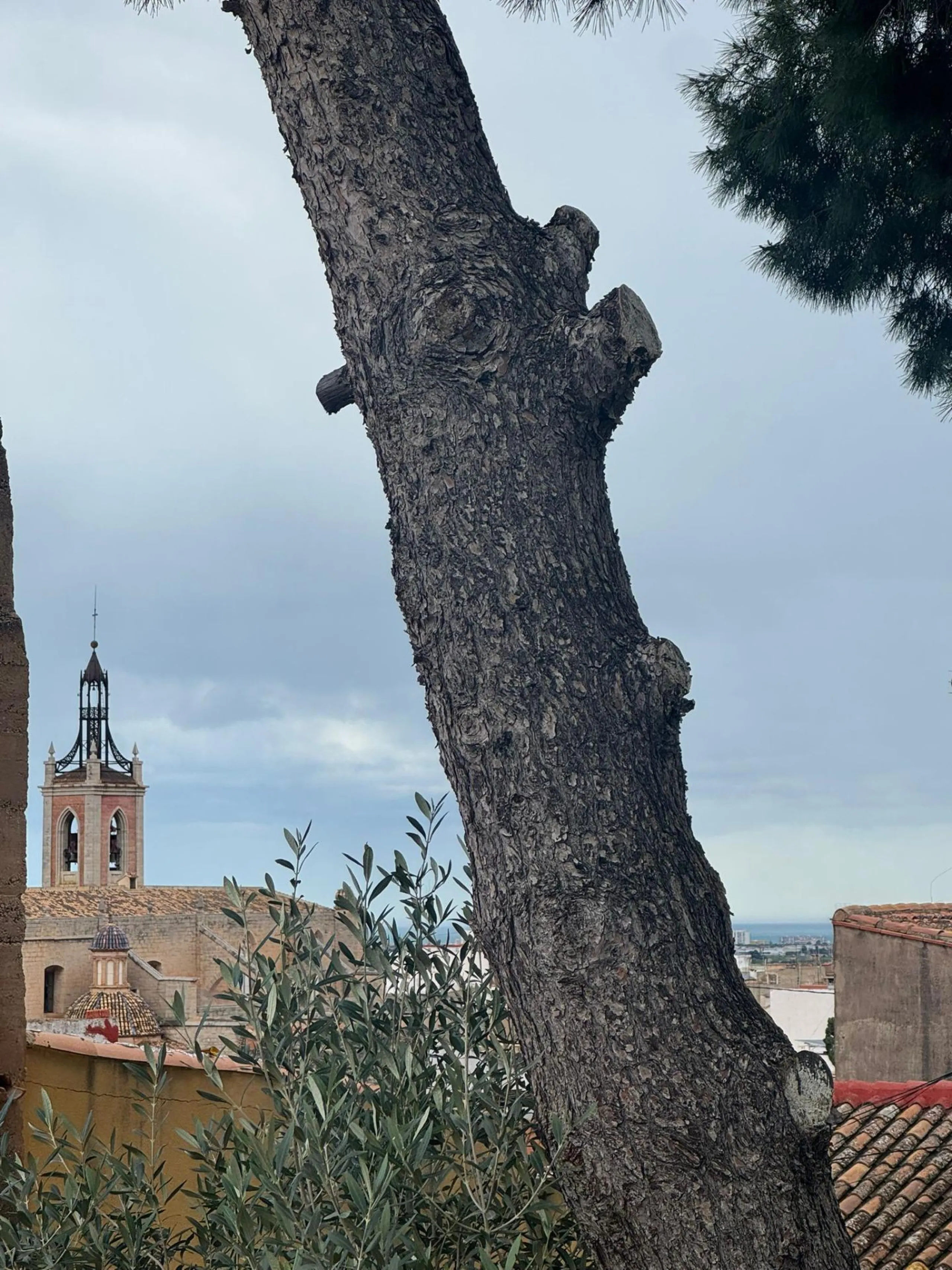 Adosado de diseño con 3 terrazas y vistas al mar y al Castillo de Sagunto