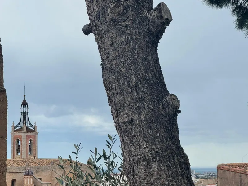 Adosado de diseño con 3 terrazas y vistas al mar y al Castillo de Sagunto