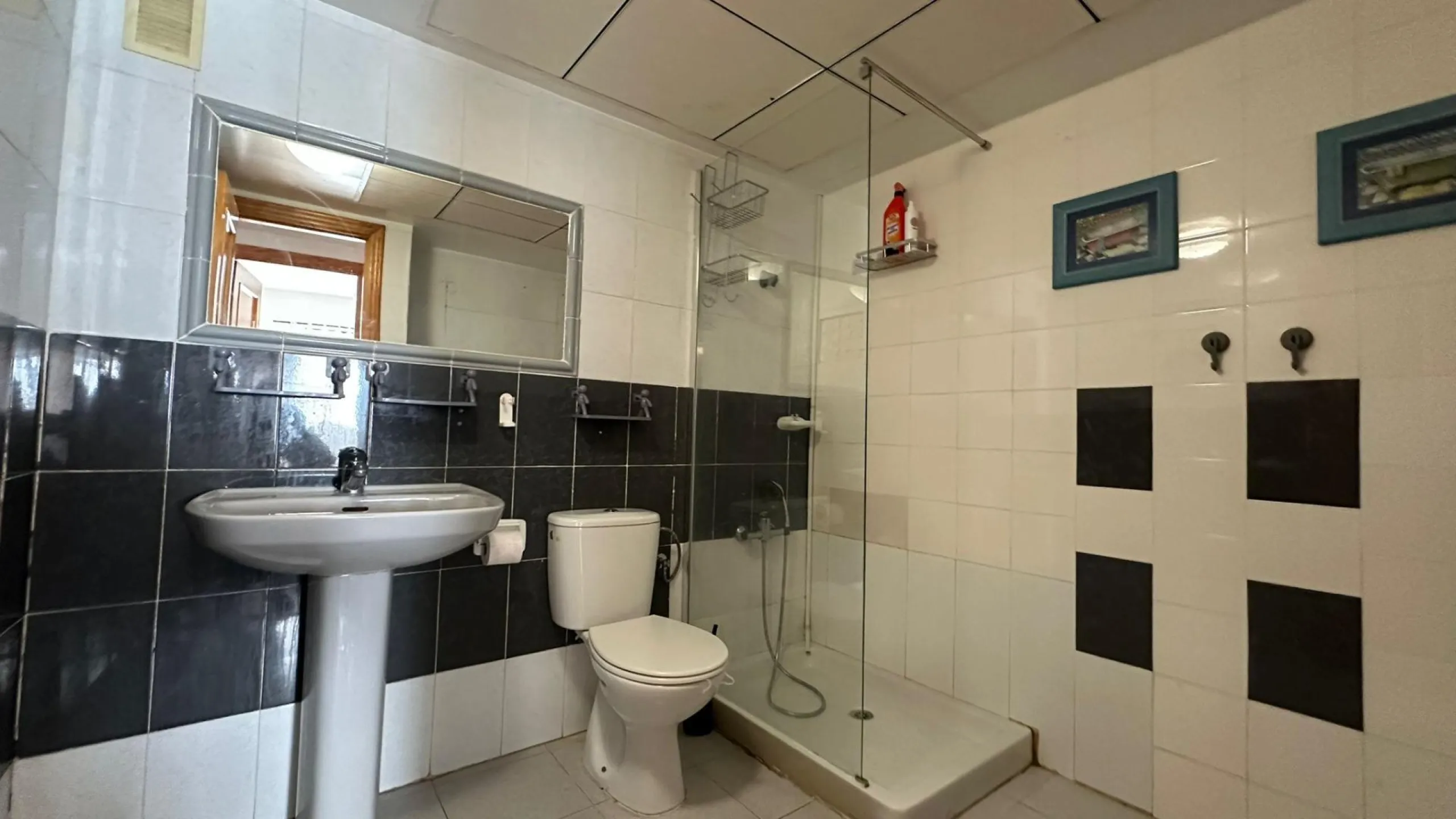 MAGNIFICENT APARTMENT IN JARDIN BOTANICO URBANIZATION. COMMUNAL POOL. PARKING INCLUDED. 3 BEDROOMS. 1 BATHROOM. 104 M2